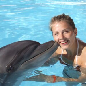 swimming with Dolphin in sharm El Sheikh-souq sharm